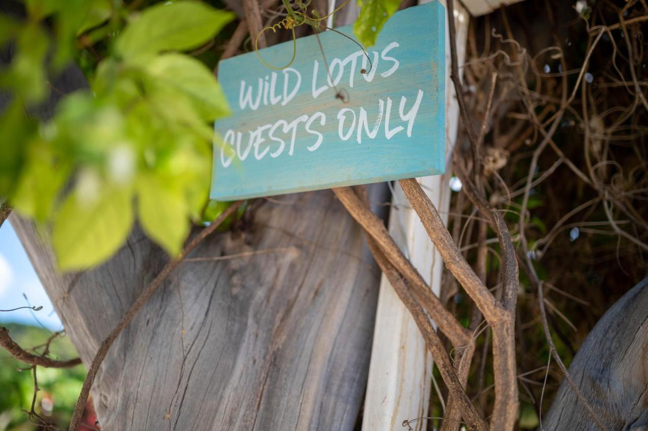 Wild Lotus Glamping Hotel Bolands Luaran gambar